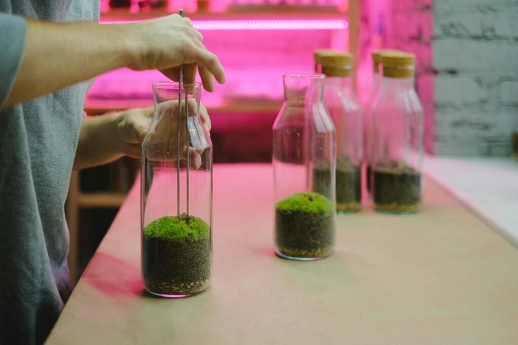 Person arranging moss in glass bottles for a DIY terrarium project indoors.